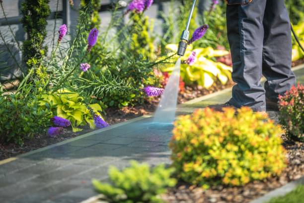 Best Patio and Deck Pressure Washing  in Willamina, OR